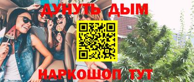 прущие крисы Можга
