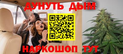 прущие крисы Можга