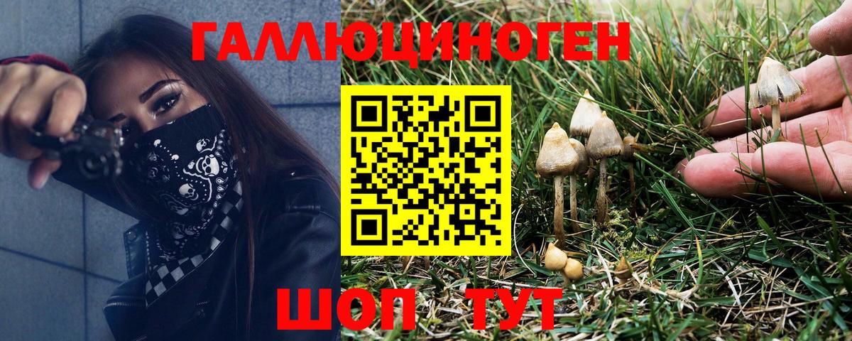 наркота  Вход с VPN  Северобайкальск  Галлюциногенные грибы Magic Shrooms 