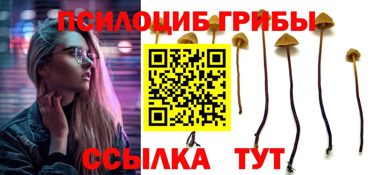 Псилоцибиновые грибы прущие грибы Северобайкальск